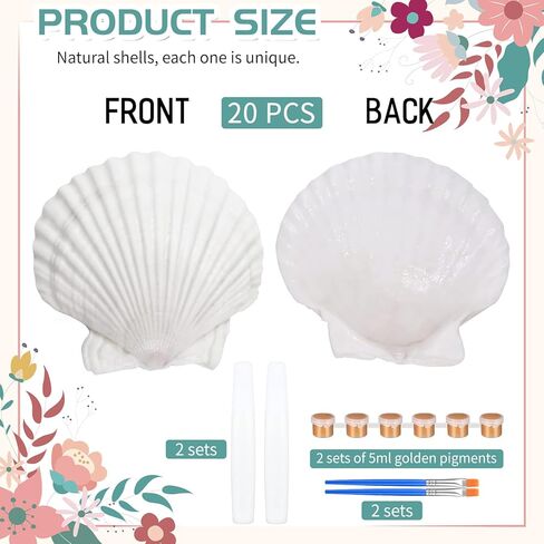 20 Sets Scallop Shells for Crafts 4''-5'' Natural White Sea Shells with Decoupage Paper Napkins Paint Strips Glue Sticks Brushes for DIY Crafts Ornament Jewelry Tray Seashell Beach Decor in Kuwait