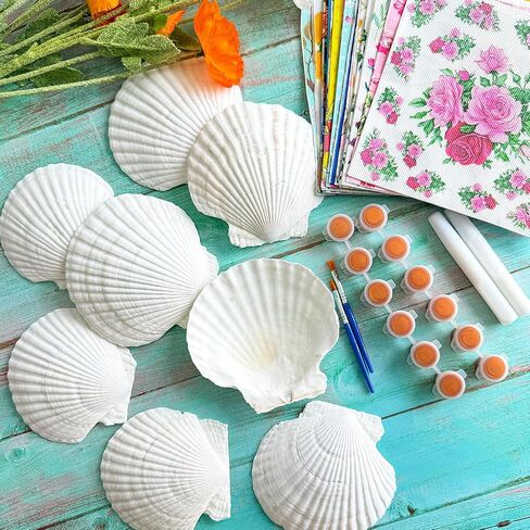 20 Sets Scallop Shells for Crafts 4''-5'' Natural White Sea Shells with Decoupage Paper Napkins Paint Strips Glue Sticks Brushes for DIY Crafts Ornament Jewelry Tray Seashell Beach Decor in Kuwait