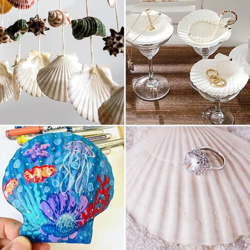 20 Sets Scallop Shells for Crafts 4''-5'' Natural White Sea Shells with Decoupage Paper Napkins Paint Strips Glue Sticks Brushes for DIY Crafts Ornament Jewelry Tray Seashell Beach Decor in Kuwait