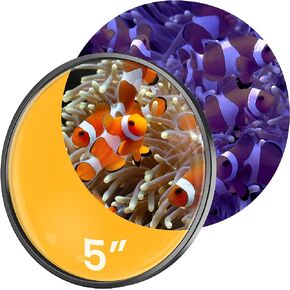 FL!PPER Flipper DeepSee Viewer Black Orange Filter Attachment for Flipper DeepSee Viewer 4" Magnetic Aquarium Glass Magnifier for Coral Color Correction, Reef Photography and Aquarium Videography