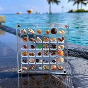 Large Acrylic Magnetic Seashell Display Box,DIY Seashell Display Box,Clear Storage Box for Seashell,Gemstones,Nail,Jewelry (1Pc 36 Grids Large)