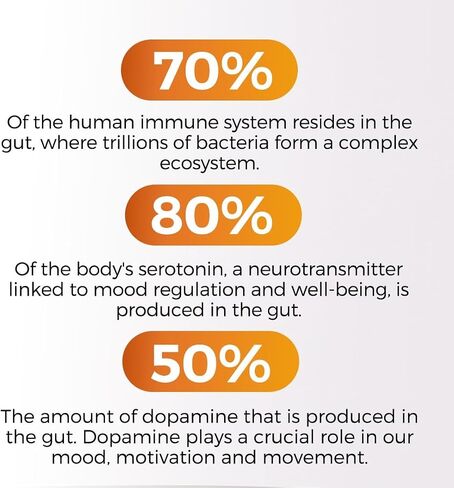 60B Probiotic Digestive Gut Health Supplement - Slippery Elm, Coriander, Papaya, Turmeric, Ginger, Psyllium Husk, Licorice, Marshmallow Root - Men & Women - Made in USA (60 Count (Pack of 1) in Saudi Arabia