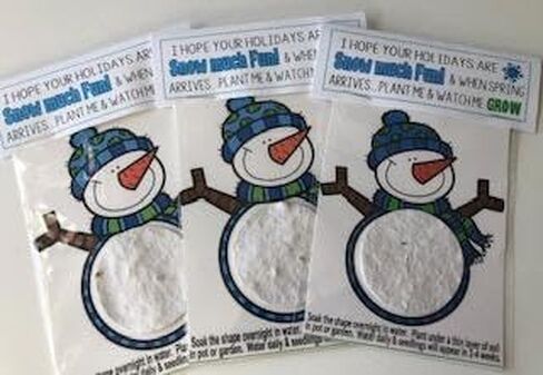 SNOW MUCH FUN - Set of 3 Snowman Plant-able Seed gift bags in Saudi Arabia