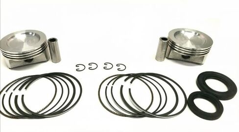 Overhaul KIT 2 Pistons VALVES RODS GASKETS and Seals CH18 CH20 CH22 Replacement for Kohler OEM in Kuwait