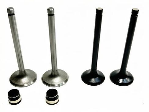 Overhaul KIT 2 Pistons VALVES RODS GASKETS and Seals CH18 CH20 CH22 Replacement for Kohler OEM in Kuwait
