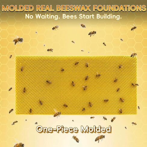 30PCS Natural Beeswax Foundation Sheets for Bee Hive Wired Frames, Multi Purpose Beeswax Sheets for Candle Making, Crafts, Models and DIY Projects in Kuwait