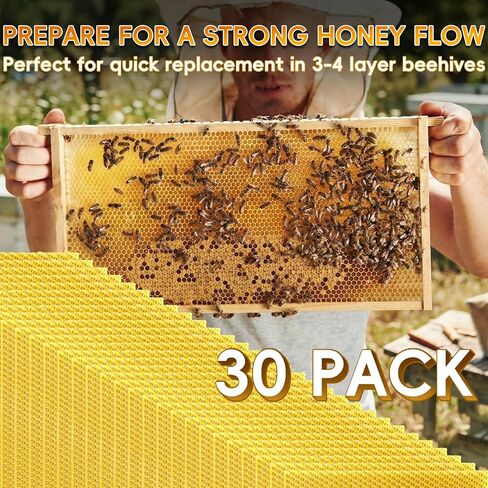 30PCS Natural Beeswax Foundation Sheets for Bee Hive Wired Frames, Multi Purpose Beeswax Sheets for Candle Making, Crafts, Models and DIY Projects in Kuwait