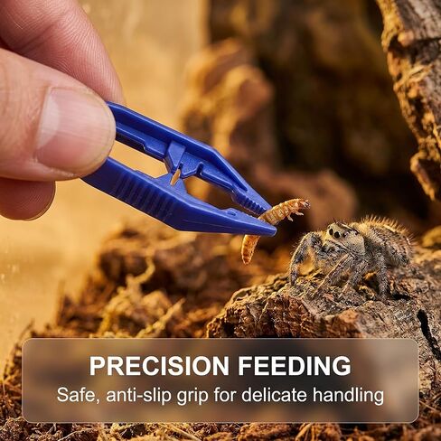 مجموعة ملحقات Jumping Spider المكونة من 5 قطع، مجموعة أدوات بداية حاوية العنكبوت مع زجاجة، 2 فرش طلاء ناعمة للتعامل اللطيف وملاقط تغذية بلاستيكية لأدوات العناية in Kuwait