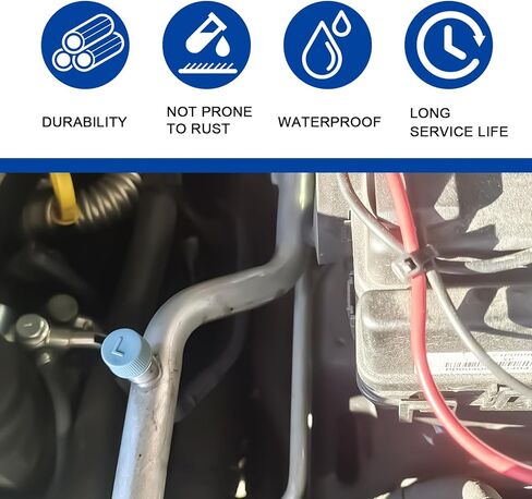 100PCS R12 R134a AC Caps Assortment, 12 Sizes Car A/C High Low Pressure Port Dust Cap Set, Air Conditioning Service Valve Core Covers, Universal Leakproof Sealing Hat Kit for Auto AC System Ports in Kuwait