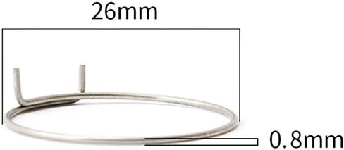 100PC Stainless Bike Freehub Pawl Spring Driver Ring Tower Base Fulcrum Components in Kuwait