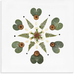 Stupell Industries 'Lily Pad & Fern Mandala', Canvas Art, 24 x 24 Inches, Easy to Hang and Sturdy, Made in USA, by Beth Adoette in Kuwait