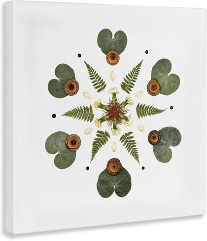 Stupell Industries 'Lily Pad & Fern Mandala', Canvas Art, 24 x 24 Inches, Easy to Hang and Sturdy, Made in USA, by Beth Adoette in Kuwait