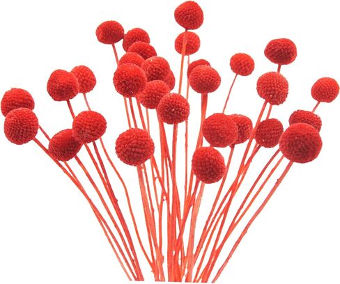 30pcs Natural Dried Flowers Craspedia Billy Balls Flowers Pink Dried Craspedia Flowers Billy Buttons Floral Bouquet for Wedding Home Tall Vase Boho Decor Fall Autumn in Kuwait