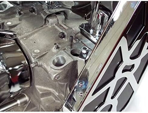 واقي البكرة، مظهر Mad Dog Harley، لسيارة Aircooled VW، متوافق مع Dune Buggy in Kuwait