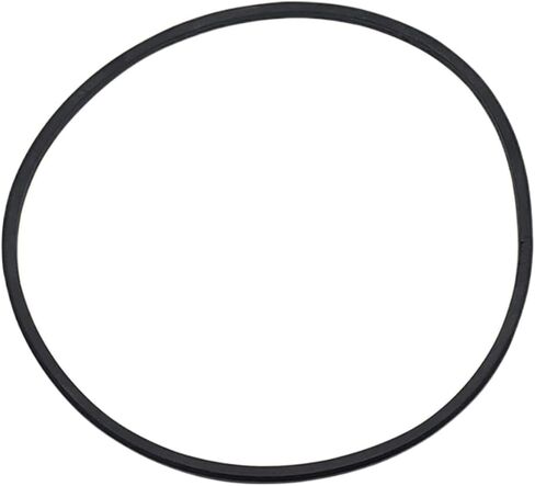 Fuel Pump SEAL RECTANGULAR RING o Ring Generic OEM Replacement For 5.9 Cummins Pump 3969698 3924605 3925021 in Kuwait
