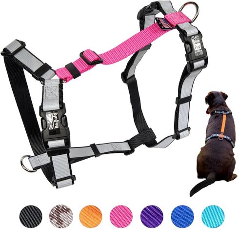 حزام Brite Pup بدون سحب مع ملاءمة قابلة للتخصيص بالكامل للكلاب المتوسطة - حزام عاكس عالي التحمل 3M للمشي والتدريب - تصميم ياقة مريح بدون اختناق، صنع في الولايات المتحدة الأمريكية M-Purple in Saudi Arabia