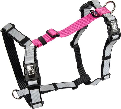 حزام Brite Pup بدون سحب مع ملاءمة قابلة للتخصيص بالكامل للكلاب المتوسطة - حزام عاكس عالي التحمل 3M للمشي والتدريب - تصميم ياقة مريح بدون اختناق، صنع في الولايات المتحدة الأمريكية M-Purple in Saudi Arabia