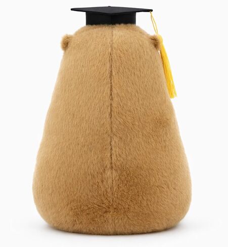 Graduation 2026 Capybara Plush Toy, 9 Inch Capybara Stuffed Animal with Graduation Cap and Diploma, Class of 2026 Congratulations Plush Gift for Kids, Teens, Seniors and Graduates in Saudi Arabia