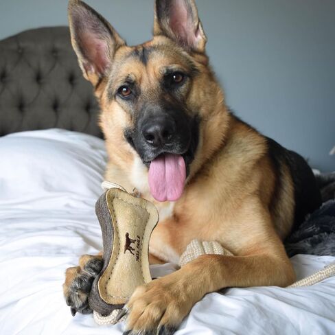 Tall Tails Bone Tug Natural Leather 16" Dog Toy in Saudi Arabia