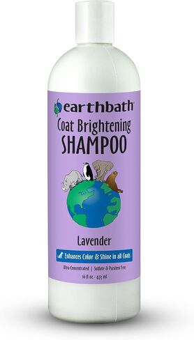 Earthbath, Lavender Dog Shampoo - Coat Brightening Shampoo for Dogs, Deodorizing Dog Wash, Made in USA, shampoo for Smelly Dogs, Cruelty Free Pet Shampoos - 128 Oz (1 Pack) in Saudi Arabia