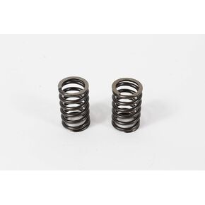 Kohler 2 Pack أصلي 24-089-02-S صمام زنبركي OEM in Kuwait