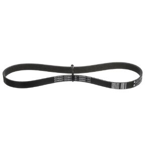 Quicksilver 8M0232583 Alternator Belt for Select Mercury 135-200hp 4-Cylinder and 200-400hp 6-Cylinder Outboards in Kuwait
