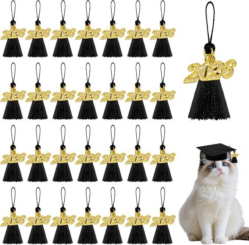 30 PCS 2026 Mini Graduation Tassels for Crafts 2.4 Inches Bookmark Tassels for Graduation Decor, Cap Keychain Ornaments DIY Craft Jewelry Making (Gold) in Kuwait