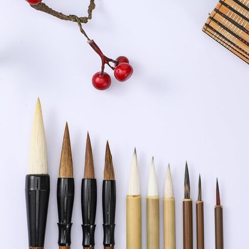 10 Pcs Chinese Calligraphy Brush, Sumi Brushes Set Premium Writing Watercolor Brushes for Beginners & Artists with Roll-up Bamboo Brush Holder, Painting Set Flower Bird Line-Drawing in Kuwait
