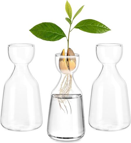 Glasseam Glass Avocado Vase: Acorn Vase for Bulb Growing Cute Clear Bud Vase Set of 3 Small Vase for Flowers Plant Forcing Decorative Flower Vases for Centerpieces Dining Living Room Decoration in Saudi Arabia