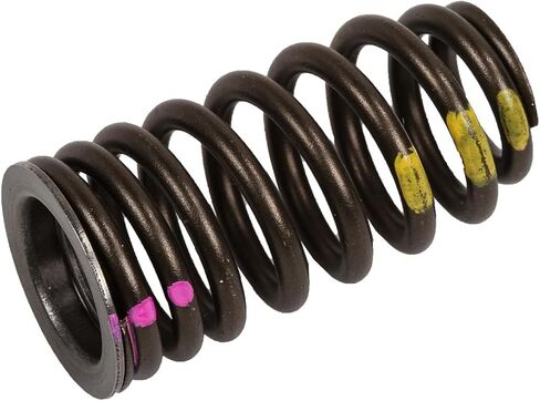 GM Genuine Parts 19318158 Intake Valve Spring in Kuwait