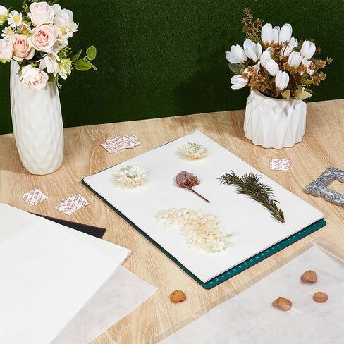 BENECREAT Blotting Board for Flower Press, 6PCS Drying Plates, 6PCS Sponge, 12PCS Lining Paper, Blotting Paper for Creative Pressing DIY Handicrafts Drying Flowers, 11x8.6inch in Kuwait