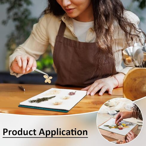 BENECREAT Blotting Board for Flower Press, 6PCS Drying Plates, 6PCS Sponge, 12PCS Lining Paper, Blotting Paper for Creative Pressing DIY Handicrafts Drying Flowers, 11x8.6inch in Kuwait