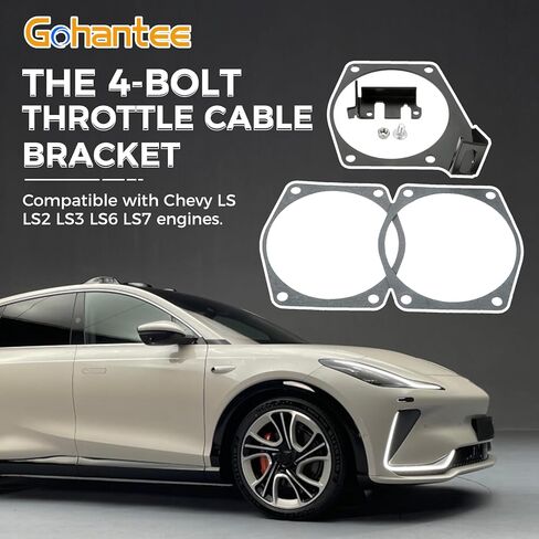 Throttle Cable Bracket Intakes 4-Bolt 92mm-102mm（3.62in/4.02in） Throttle Cable Bracket Compatible with Chevy LS LS2 LS3 LS6 LS7 Replaces# 81012/81042/81001/81002/81003/81007/81043/81044 in Kuwait
