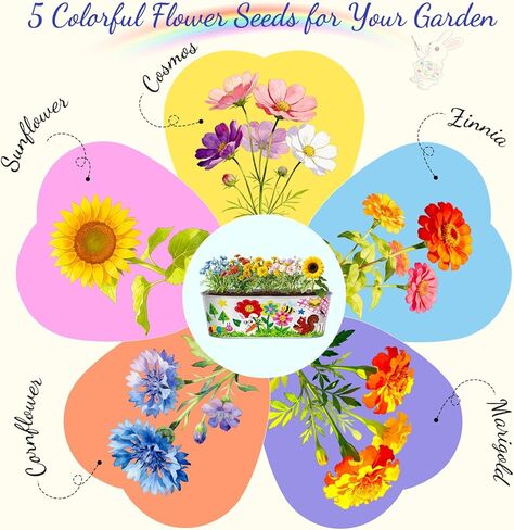 Large Paint & Plant Flower Growing Kit for Kids with 5 Flower Seeds, Gift Ideas Age 5 6 7 8-12 Years, Fun Kids Gardening Set, Birthday Crafts Gifts for Girls & Boys, Art Projects for Ages 5-12 Years in Kuwait