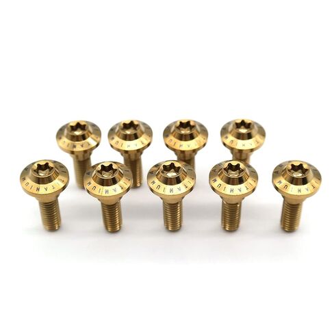 Arashi 10 Pcs M6x20mm Titanium Alloy Front Brake Disc Rotors Mounting Bolts Screws for Yamaha YZF R1 R6 R7 FZ1 FZ6 FZ8 MT09 FZ09 MT10 FZ10 XJ6 XTZ700 XTZ1200 XV1700PC Vmax1700 XV1900 in Kuwait