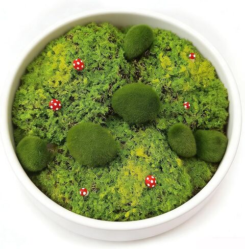 18PCS Artificial Moss Rocks, Green Moss Balls Decor, Fairy Garden Supplies, Fake Moss Decor for Fairy Gardens, Floral Arrangements, Crafts, Potted Plants, Natural Green Landscape Scenery in Kuwait