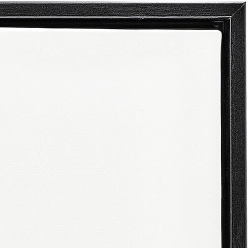 Stupell Industries 'Cozy Clawfoot Bathtub Spa', Floating Frame Canvas Art, Black, 25 x 25 Inches, Easy to Hang and Sturdy, Made in USA, by Conrad Knutsen in Kuwait
