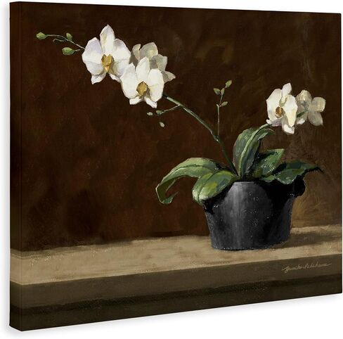 Stupell Industries 'Potted White Orchid on Ledge'، لوحة فنية قماشية، 48 × 36 بوصة، سهلة التعليق وقوية، صنع في الولايات المتحدة الأمريكية، بواسطة Yumiko Ichikawa in Kuwait