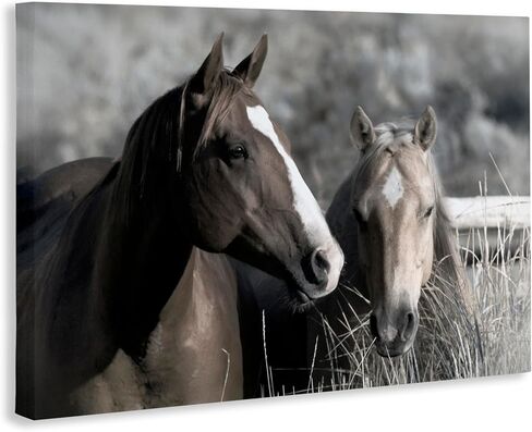 Stupell Industries 'Content Horses In Pasture'، لوحة فنية قماشية، 36 × 24 بوصة، سهلة التعليق ومتينة، صنع في الولايات المتحدة الأمريكية، بواسطة دانيتا ديليمونت in Kuwait