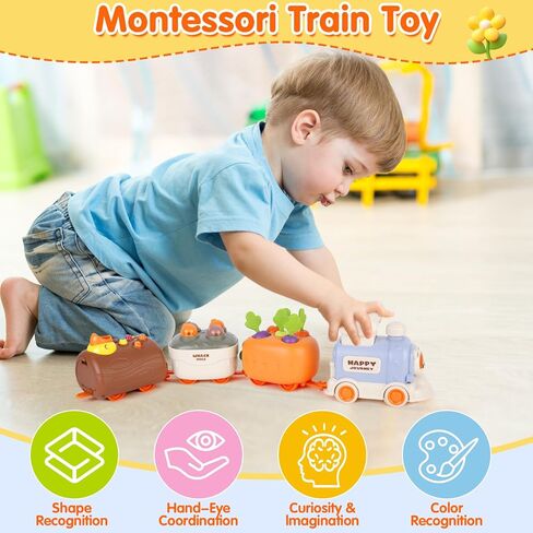 Sizobi Press to Go Train Toys for Toddlers 2-4, Learning Sorting Montessori Toys for Kids 3+, Fine Motor Skills Educational Train Set, Preschool Learning Activities Birthday Boys Girls in Kuwait