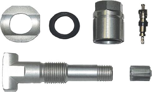 Schrader 20049 TPMS Service Pack for Aluminum Clamp-in Stem in Saudi Arabia