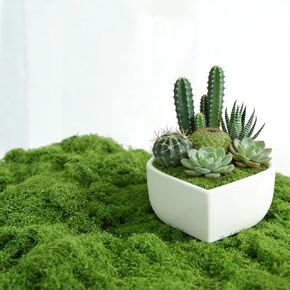 Fake Green Moss for Crafts Potted Plants Indoor, Artificial Moss for DIY Centerpieces, Fairy Garden, Glass Containers, Faux Moss for Wedding Party, Floral Wall Home Indoor Outdoor Decor in Saudi Arabia
