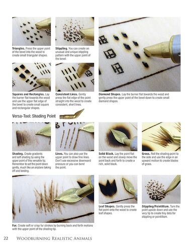 Woodburning Realistic Animals: 12 Step-by-Step Pyrography Projects of Birds, Pets, and Wildlife (Fox Chapel Publishing) Tutorials for Eyes, Fur, Manes, & Whiskers; Projects for Big Cats, Owls, & More in Kuwait