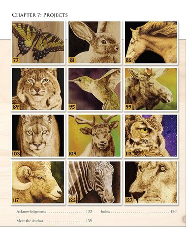Woodburning Realistic Animals: 12 Step-by-Step Pyrography Projects of Birds, Pets, and Wildlife (Fox Chapel Publishing) Tutorials for Eyes, Fur, Manes, & Whiskers; Projects for Big Cats, Owls, & More in Kuwait
