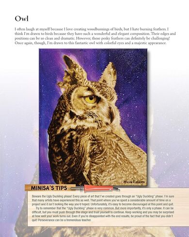 Woodburning Realistic Animals: 12 Step-by-Step Pyrography Projects of Birds, Pets, and Wildlife (Fox Chapel Publishing) Tutorials for Eyes, Fur, Manes, & Whiskers; Projects for Big Cats, Owls, & More in Kuwait