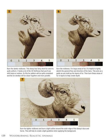 Woodburning Realistic Animals: 12 Step-by-Step Pyrography Projects of Birds, Pets, and Wildlife (Fox Chapel Publishing) Tutorials for Eyes, Fur, Manes, & Whiskers; Projects for Big Cats, Owls, & More in Kuwait