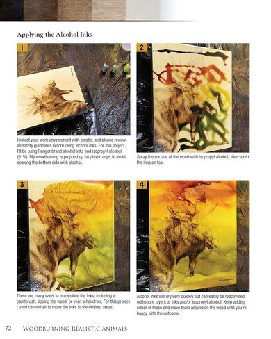 Woodburning Realistic Animals: 12 Step-by-Step Pyrography Projects of Birds, Pets, and Wildlife (Fox Chapel Publishing) Tutorials for Eyes, Fur, Manes, & Whiskers; Projects for Big Cats, Owls, & More in Kuwait