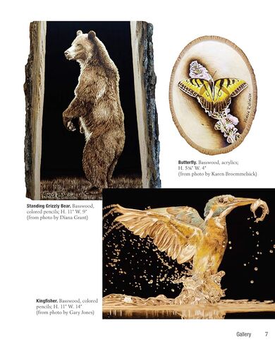 Woodburning Realistic Animals: 12 Step-by-Step Pyrography Projects of Birds, Pets, and Wildlife (Fox Chapel Publishing) Tutorials for Eyes, Fur, Manes, & Whiskers; Projects for Big Cats, Owls, & More in Kuwait