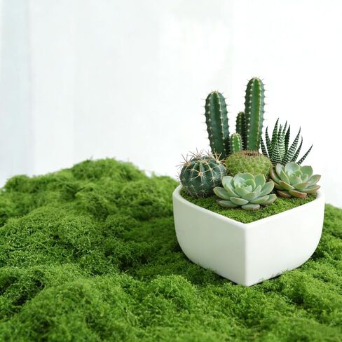 Fake Green Moss for Crafts Potted Plants Indoor, Artificial Moss for DIY Centerpieces, Fairy Garden, Glass Containers, Faux Moss for Wedding Party, Floral Wall Home Indoor Outdoor Decor in Saudi Arabia