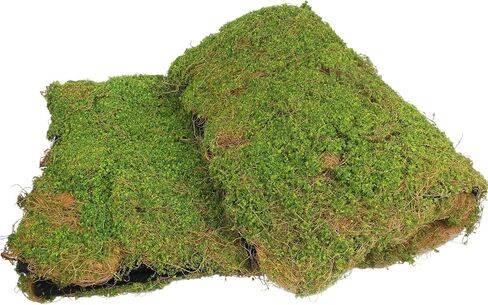 FAICOIA Artificial Fake Moss for Decorating Crafts 39" x 39" Faux Moss for Plants Indoor Dark Green Faux Grass for Planters Crafts DIY Table Centerpieces Fairy Garden Floral Wedding 100 x 100cm in Saudi Arabia